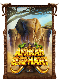 เคล็ดลับ สูตร บา คา ร่า winner55 ที่ต้องลอง